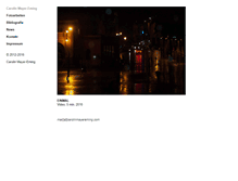 Tablet Screenshot of carolinmayereming.com
